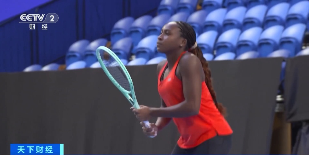 维罗纳历来 维罗纳历来