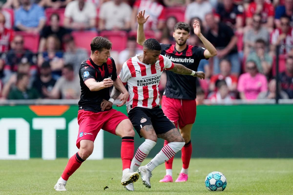 仁在强度对 仁在强度对