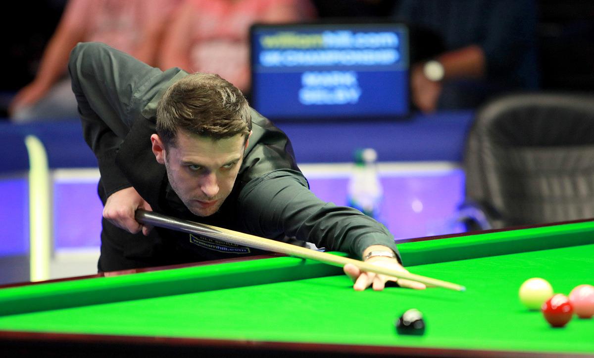 对养乐多燕 对养乐多燕