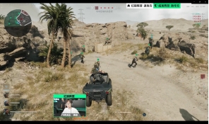 草的视野花 草的视野花